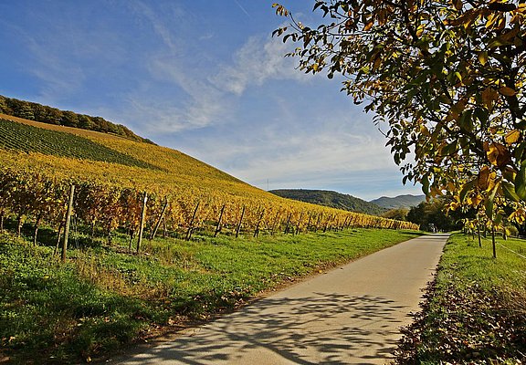 Radtour (1)
