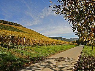 Radtour (1)