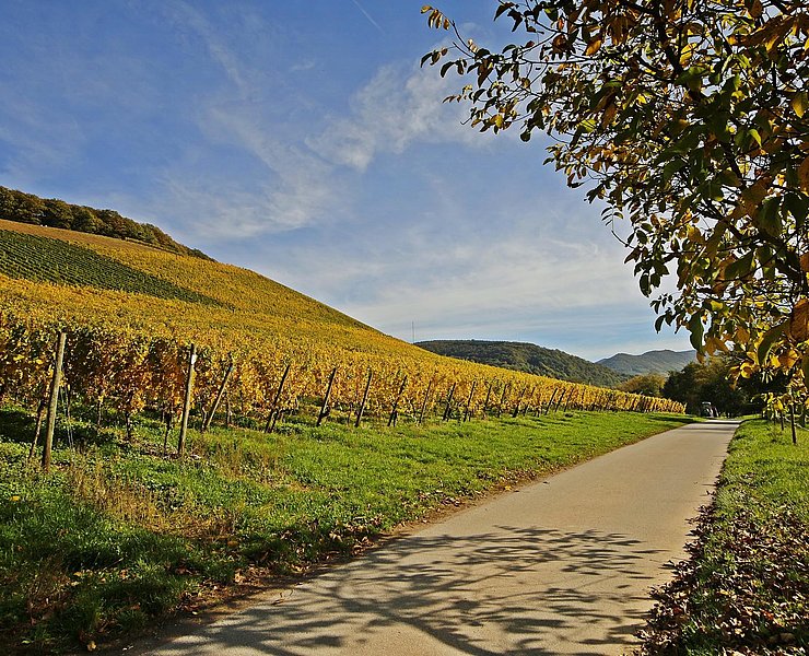 Radtour (1)