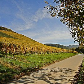 Radtour (1)