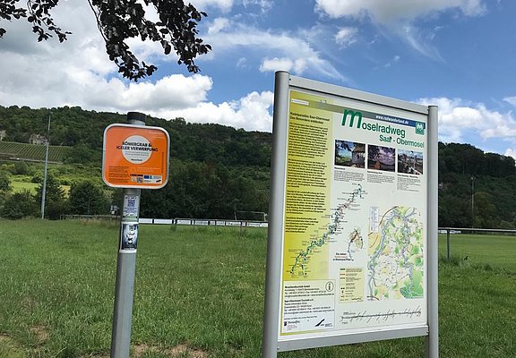 Wasserliesch (1)