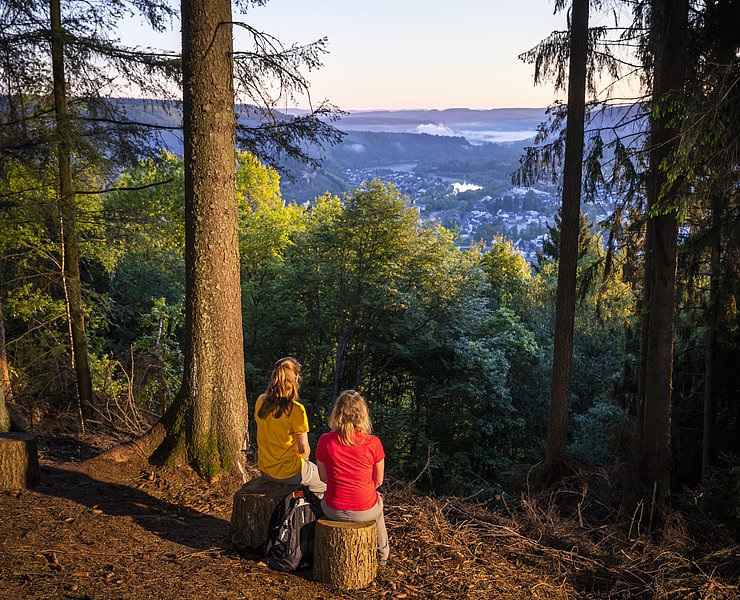 Aussichtspunkt mit Blick auf Saarburg (01)