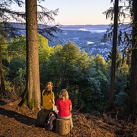 Aussichtspunkt mit Blick auf Saarburg (01)