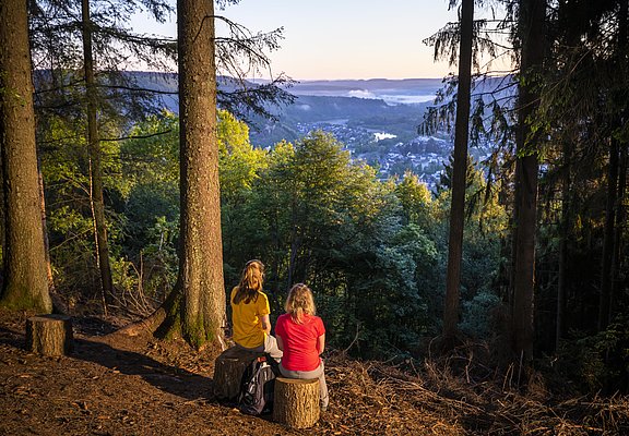 Aussichtspunkt mit Blick auf Saarburg (01)