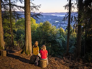 Aussichtspunkt mit Blick auf Saarburg (01)