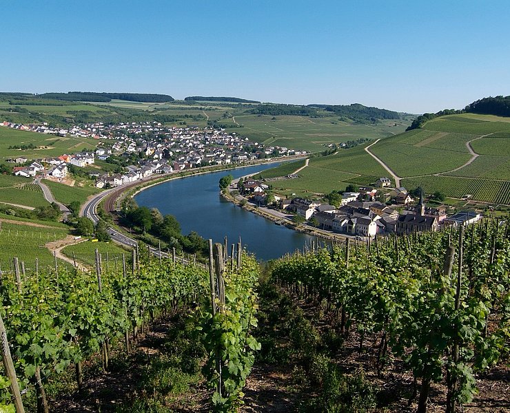 Moselsteig an der Obermosel