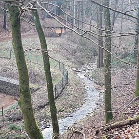 Quelle der Kehrbach (2)