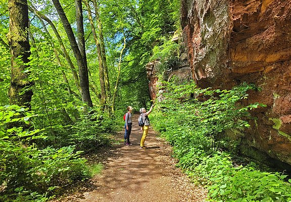 König-Johann-Runde (1)