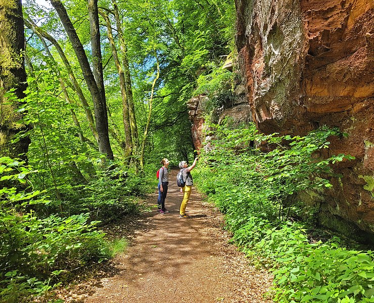 König-Johann-Runde (1)