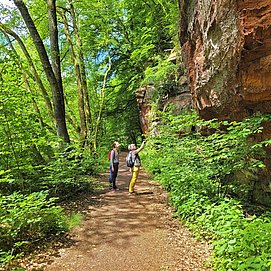 König-Johann-Runde (1)