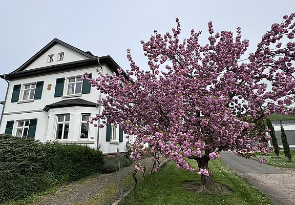 Ferienwohnung Im Kelterhaus, Wiltingen (01)
