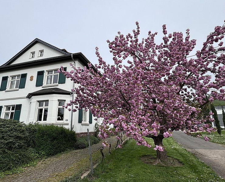 Ferienwohnung Im Kelterhaus, Wiltingen (01)