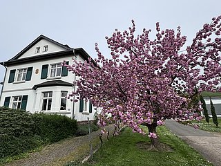 Ferienwohnung Im Kelterhaus, Wiltingen (01)