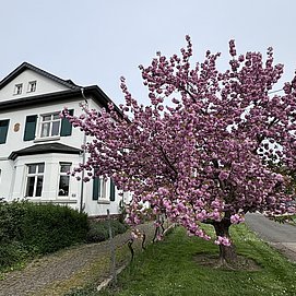 Ferienwohnung Im Kelterhaus, Wiltingen (01)