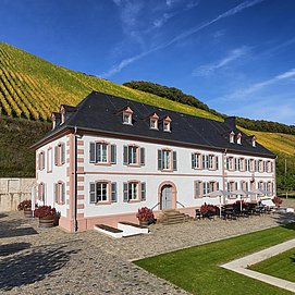 Gästehaus-Weingut Cantzheim (1)