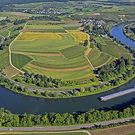 Moselschleife bei Palzem-Wehr