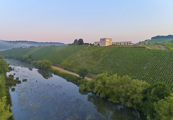 Weingut Van Volxem (3)