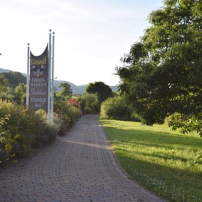 Foto: Weingut Raevenhof Ayl (01)