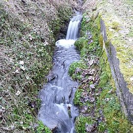 Bach im Kallenfelstal