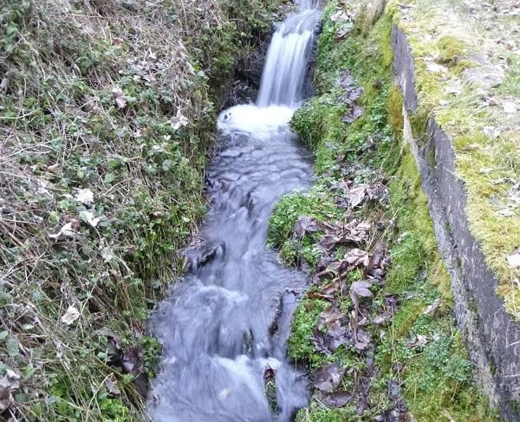 Bach im Kallenfelstal