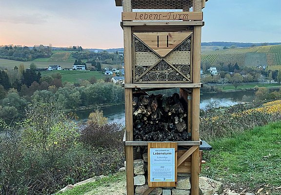 Lebensturm (2)