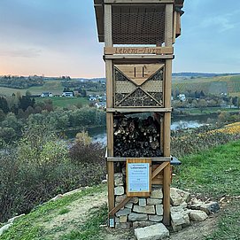 Lebensturm (2)