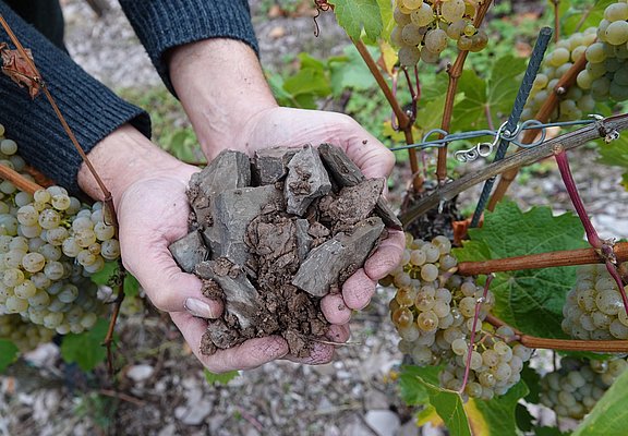 Agritiushof (4)