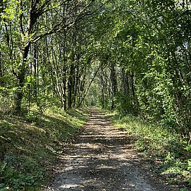 IMG_3437
