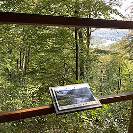 Aussicht Saarmündung (03)