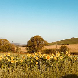 IMG_7827