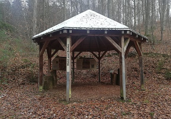 Wald und Boden (3)