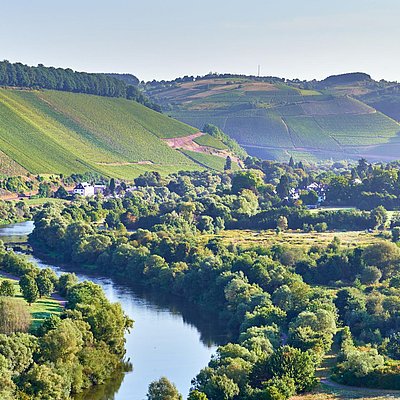 Foto: Weingut Von Othegraven Kanzem (02)