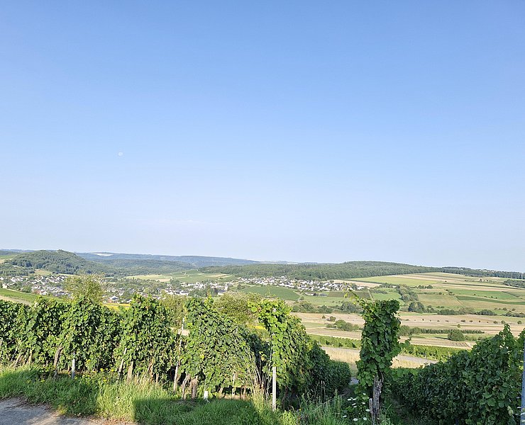Blick auf Oberemmel