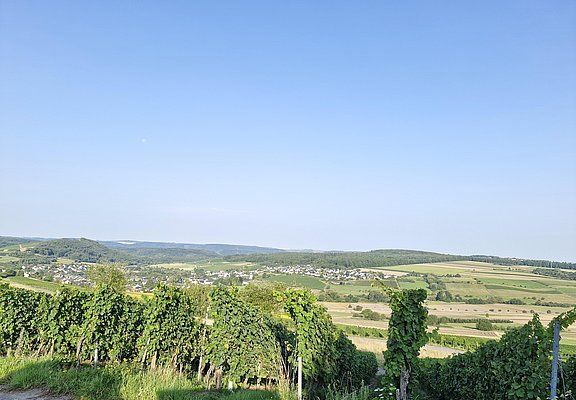 Blick auf Oberemmel