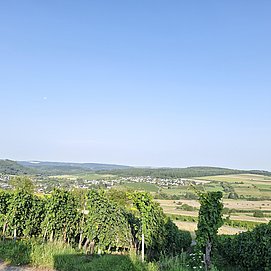 Blick auf Oberemmel