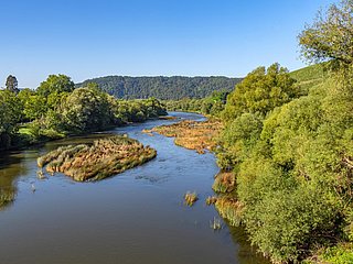 Naturschutzgebiet Wiltinger Saarbogen (1)