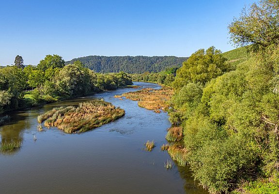 Naturschutzgebiet Wiltinger Saarbogen (1)