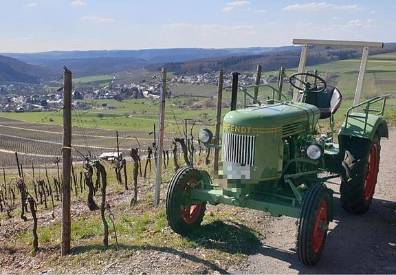 Oldtimer-Traktor (2)