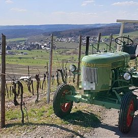 Oldtimer-Traktor (2)