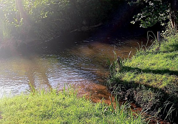 Campingplatz Leukbachtal Saarburg (05)