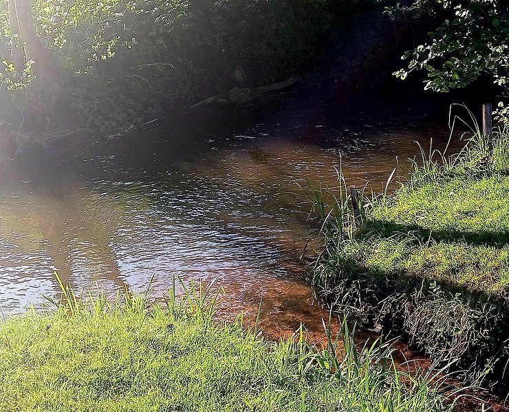 Campingplatz Leukbachtal Saarburg (05)