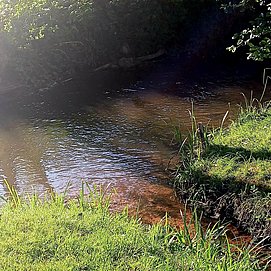 Campingplatz Leukbachtal Saarburg (05)