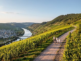 Moselschleife bei Trittenheim