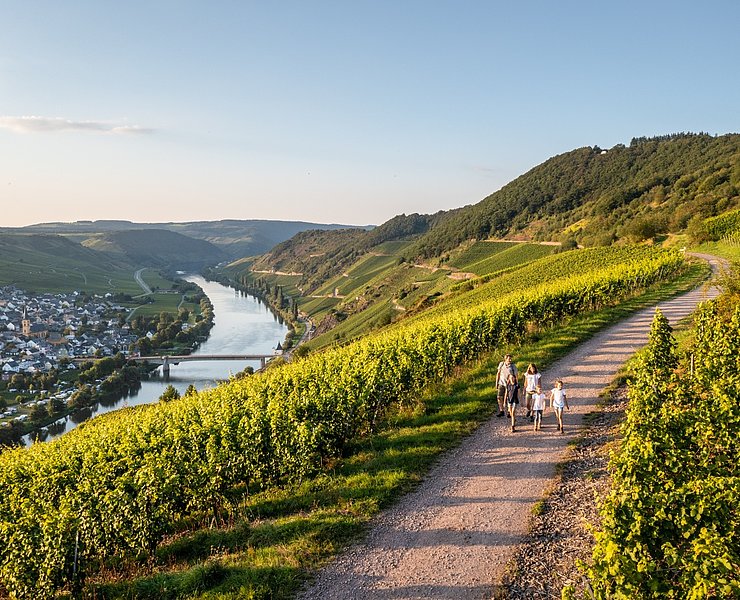 Moselschleife bei Trittenheim