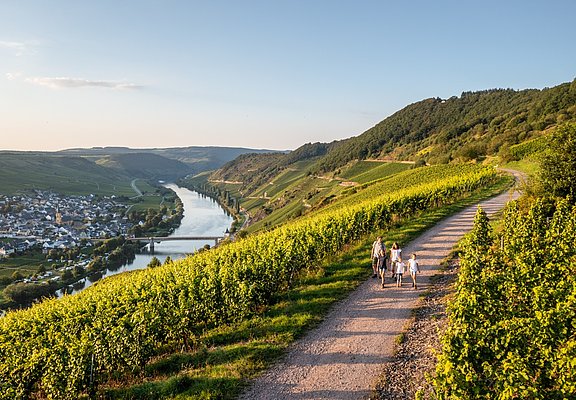 Moselschleife bei Trittenheim