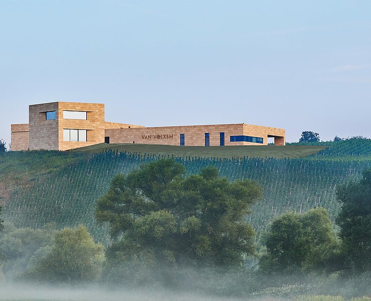 Weingut Van Volxem (5)