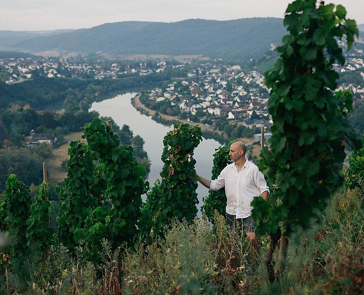 Weingut Peter Lauer Ayl (02)