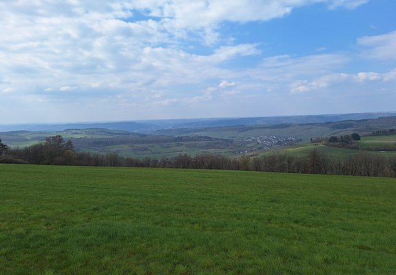 Karlskopf Pellingen