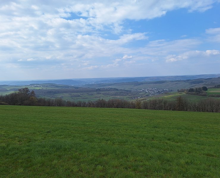 Karlskopf Pellingen