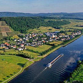 Blick auf die Weinlage Ayler KUpp